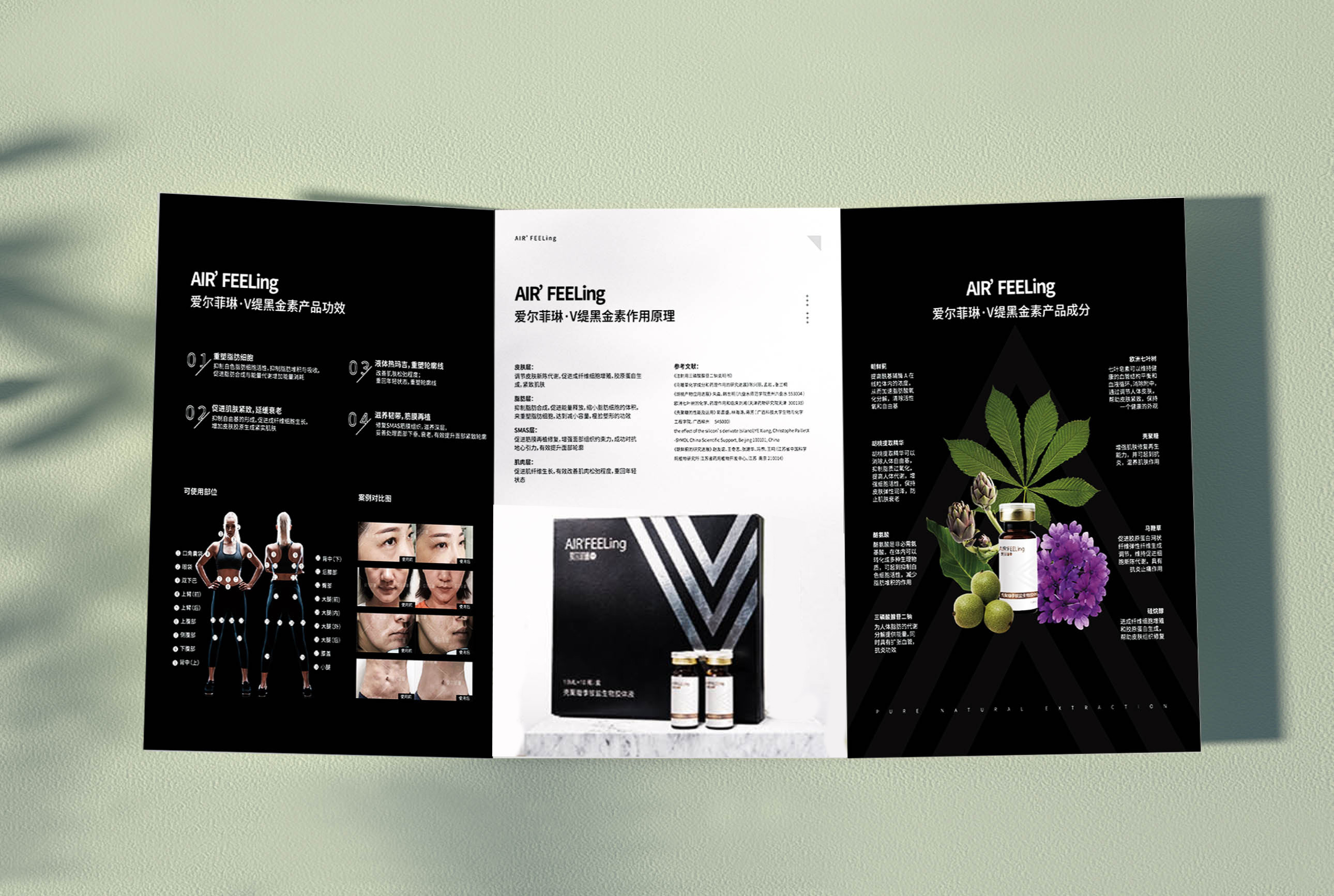 /uploads/image/2023/07/07/9106087269bc4eccc95ac669b338681e.jpg 艾爾菲琳.jpg